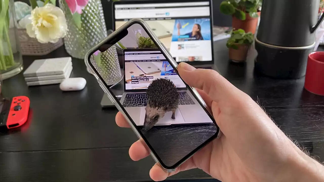 Een virtuele egel op een laptop gezien door een smartphone