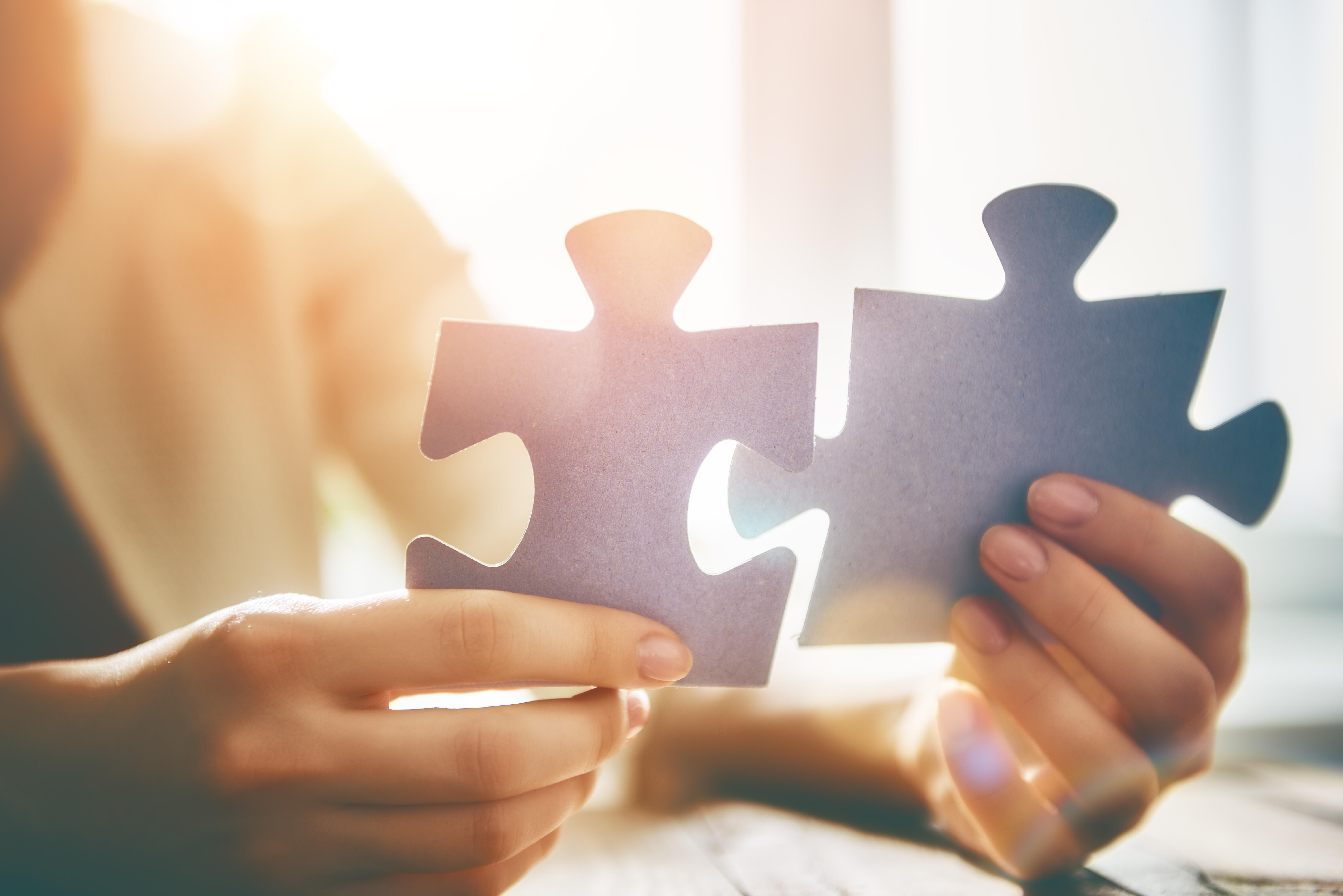 Iemand die grote puzzelstukken vasthoudt