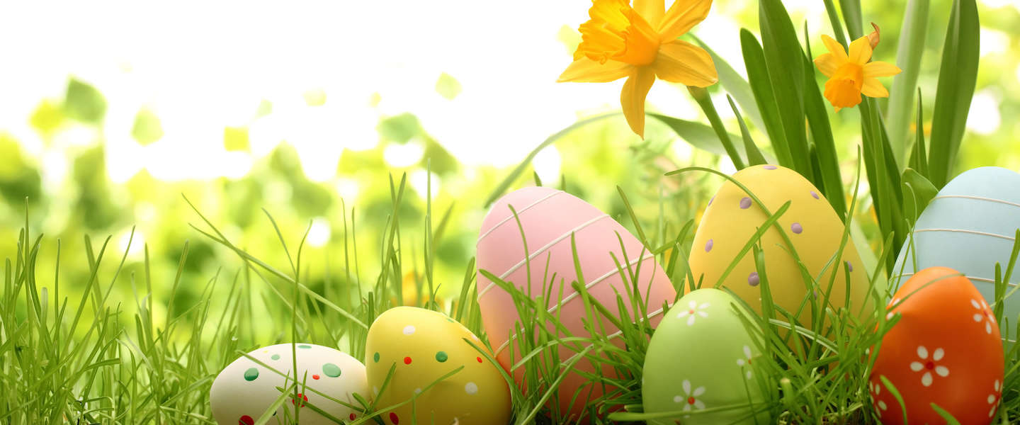 Paaseieren in het gras